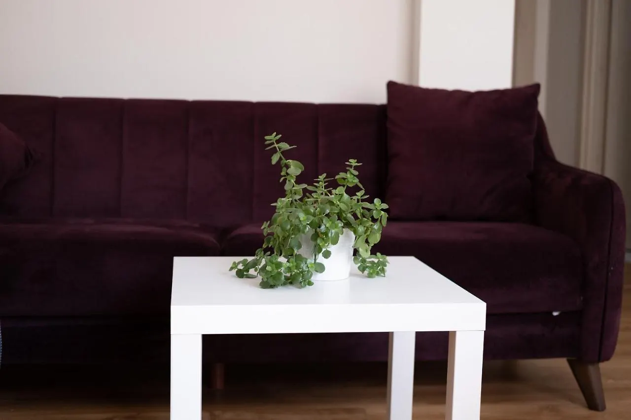 1+1 Flat W/Netflix Close To Taksim, Galata,Bomonti Istanbul 0*,  Turkey